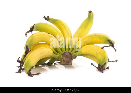 Banana Lebmuernang isolata su sfondo bianco. Foto Stock