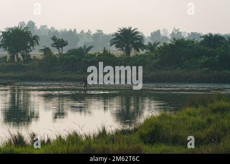 13.11.2022, bengala Occidentale, India. un pescatore indiano solitario in azione su uno stagno. Foto Stock