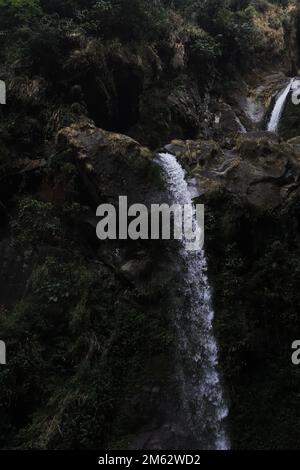 sette sorelle cascata e foresta pluviale tropicale, ai piedi himalayan colline a sikkim, india Foto Stock