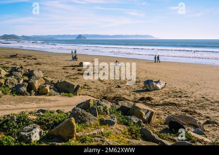 Cayucos, California, USA - 25 dicembre 2022. Costa centrale della California. Persone che riposano sulla spiaggia Foto Stock