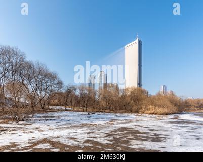 La luce del sole si riflette sul vetro color oro del grattacielo di 63 metri quadrati sull'isola di Yeouido a Seoul, Corea del Sud, il 1 gennaio 2023 Foto Stock