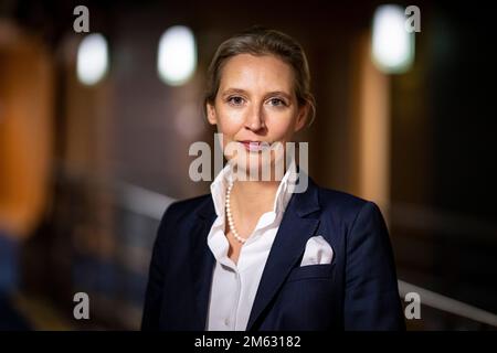 Berlino, Germania. 30th Nov 2022. Alice Weidel (AFD), leader del gruppo parlamentare, si trova di fronte al suo ufficio a Jakob Kaiser House.(a dpa: Dieci anni di AFD - leader del partito Weidel vede la possibilità di aderire al governo) Credit: Fabian Sommer/dpa/Alamy Live News Foto Stock