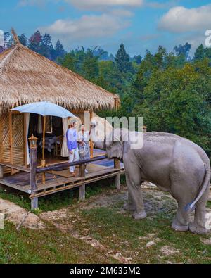 Una coppia visita un Santuario degli elefanti che alimenta gli elefanti a Chiang mai Thailandia, una fattoria di elefanti nella giungla delle montagne di Chiang mai Thailandia. Santuario degli Elefanti di Chiang mai, Thailandia del Nord, Foto Stock