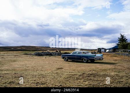 Auto retrò blu parcheggiata su prato erboso secco vicino a cavalli pureed contro cielo nuvoloso in Islanda Foto Stock