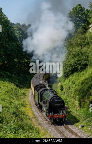 Treno a vapore sulla North Yorkshire Moors Railway, Regno Unito. Treno d'epoca che tira carrozze attraverso la campagna dello Yorkshire tra Whitby e Pickering Foto Stock