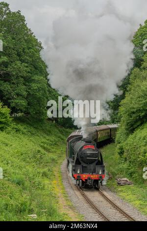 Treno a vapore sulla North Yorkshire Moors Railway, Regno Unito. Treno d'epoca che tira carrozze attraverso la campagna dello Yorkshire tra Whitby e Pickering Foto Stock