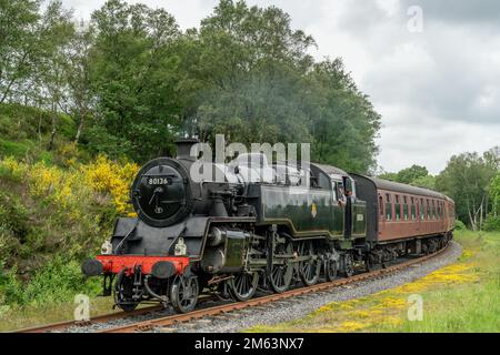 Treno a vapore sulla North Yorkshire Moors Railway, Regno Unito. Treno d'epoca che tira carrozze attraverso la campagna dello Yorkshire tra Whitby e Pickering Foto Stock