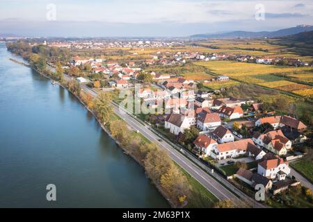 Unterloiben nel Wachau, bassa Austria. Veduta aerea del villaggio famoso per il loro vino. Foto Stock