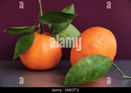 Mandarino fresco arance frutta o tangerini con foglie su sfondo borgogna Foto Stock