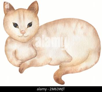 Illustrazione di gatto steso domestico rosso. Carino sfondo gatti. Acquerello immagine disegnata a mano Foto Stock