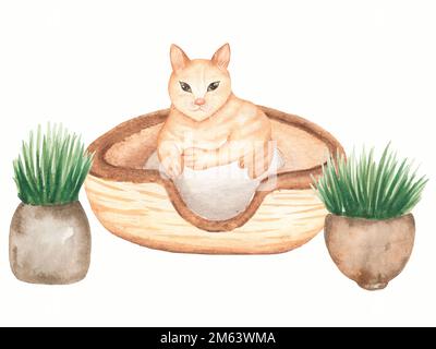 Illustrazione domestica rossa del gatto sdraiato con le piante della casa. Carino sfondo gatti. Acquerello immagine disegnata a mano Foto Stock