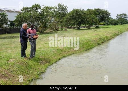 Wakiso, Uganda. 21st Dec, 2022. L'esperto cinese dell'agricoltura Chen Taihua (L) parla con Godfrey Kityo, un tecnico di allevamento ittico, presso il Centro di Ricerca e sviluppo dell'acquacoltura di Kajjansi, distretto di Wakiso, Uganda, il 21 dicembre 2022. PER ANDARE CON 'caratteristica: La Cina si muove alla produzione agricola veloce in Uganda' Credit: Hajarah Nalwadda/Xinhua/Alamy Live News Foto Stock