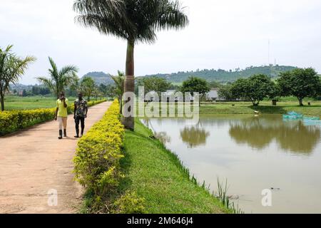 Wakiso, Uganda. 21st Dec, 2022. I lavoratori locali camminano accanto agli stagni di pesca presso il Centro di Ricerca e sviluppo dell'acquacoltura a Kajjansi, Distretto di Wakiso, Uganda, 21 dicembre 2022. PER ANDARE CON 'caratteristica: La Cina si muove alla produzione agricola veloce in Uganda' Credit: Hajarah Nalwadda/Xinhua/Alamy Live News Foto Stock