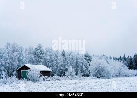 Serenità invernale. Natale bianco. Casa di legno presso la foresta / Treixq Foto Stock