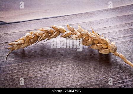 piccolo orecchio singolo di grano su tavola di legno vintage cibo e bevande concetto Foto Stock