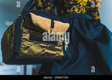 Donna irriconoscibile che tiene una borsa per il trasporto del gatto. Nessuna faccia. Foto di alta qualità Foto Stock