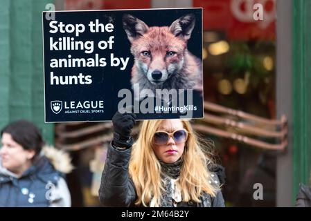 High Street, Maldon, Essex, Regno Unito. 2nd Jan, 2023. L'Essex con Farmers & Union Hunt sfilò cavalli e cani lungo Maldon High Street per il loro incontro annuale di Capodanno. Tifosi e azione contro i manifestanti anti di caccia Foxhunting hanno partecipato all'evento Foto Stock