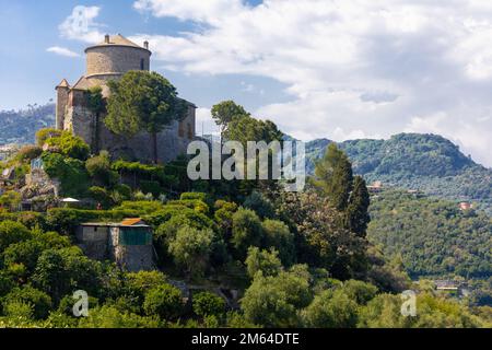 Castello marrone circondato da verdi ulivi e piante in piena estate. Castello Brown è un museo storico situato in alto sopra il Foto Stock