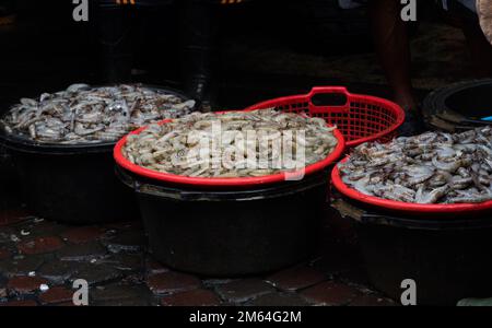 gamberi freschi sul contenitore di plastica nel mercato tradizionale Foto Stock