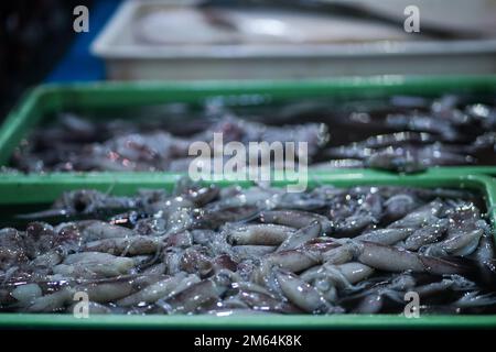 gamberi freschi sul contenitore di plastica nel mercato tradizionale Foto Stock