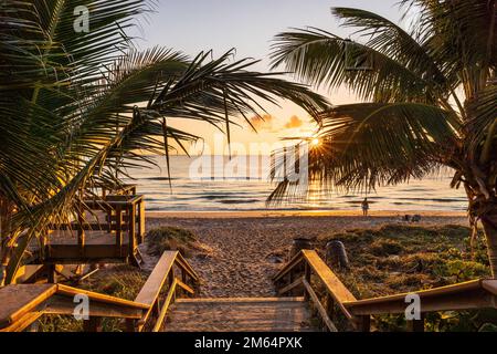Il sole che sorge splende tra palme su una spiaggia della Florida. Foto Stock