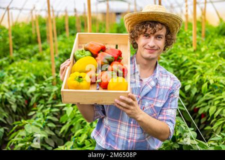 Compiaciuta l'operaio della casa che tiene una cassa con la paprika raccolta Foto Stock