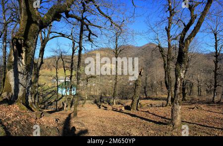 Lerik. Regione di Masalli. 11.15.2018. Azerbaigian. Un piccolo villaggio in una foresta densa. Foto Stock