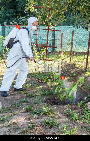 Il giardiniere in tuta protettiva, in maschera e bicchieri, con l'aiuto di una spruzzatrice professionista, tratta le foglie di uve giovani con insetticidi Foto Stock