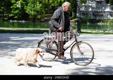 Uomo anziano che cammina il suo cane mentre guida la sua bicicletta Foto Stock