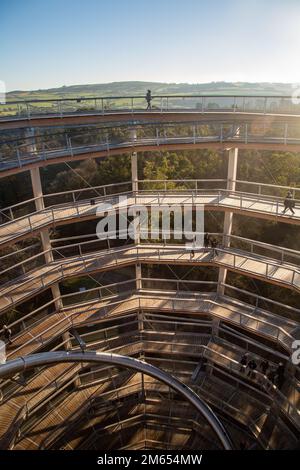 Wicklow, Irlanda - Gennaio 2nd 2023 : all'interno della torre panoramica della cima dell'albero ad Avondale Foto Stock