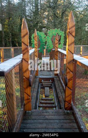 Wicklow, Irlanda - Gennaio 2nd 2023: Passeggiata sulla cima degli alberi di Avondale a Avondale House e Forest Park Foto Stock