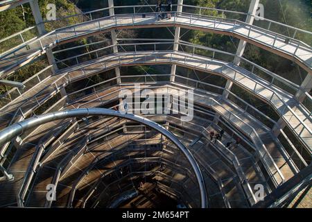 Wicklow, Irlanda - Gennaio 2nd 2023 : all'interno della torre panoramica della cima dell'albero ad Avondale Foto Stock