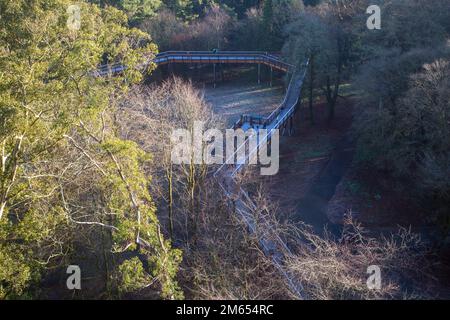 Wicklow, Irlanda - Gennaio 2nd 2023: Passeggiata sulla cima degli alberi di Avondale a Avondale House e Forest Park Foto Stock