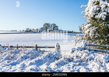 Neve d'inverno nelle prime ore del Blacklains Farm vicino al villaggio Cotswold di Birdlip, Gloucestershire, Inghilterra UK Foto Stock