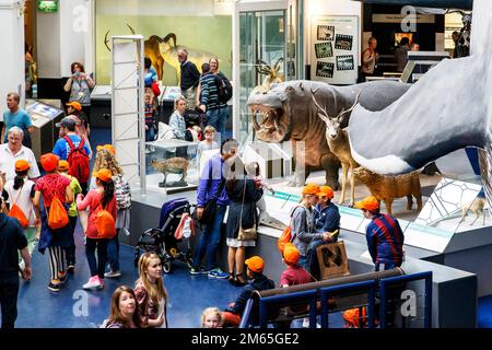 LONDRA, GRAN BRETAGNA - 22 MAGGIO 2014: Questo è un frammento della mostra nella Hall of Mammals nel Museum of Natural History. Foto Stock