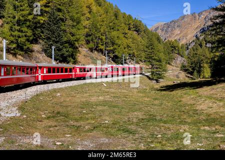 treno ferroviario bernina express di montagna che passa in direzione fil da prirol Foto Stock