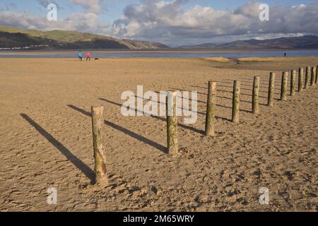 La gente camminare i loro cani sulla spiaggia di Ynyslas presso il Dyfi estuary, vicino Borth e Aberystwyth, Ceredigion,Galles,UK Foto Stock