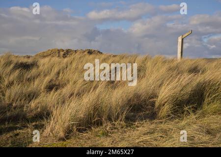 Dune di sabbia sulla spiaggia di Ynyslas all'estuario del fiume Dyfi, vicino a Borth e Aberystwyth, Ceredigion, Galles, Regno Unito Foto Stock