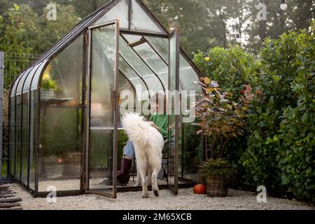 La donna gioca con il suo cane in giardino Foto Stock