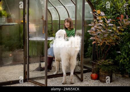 La donna gioca con il suo cane in giardino Foto Stock