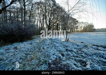 Estetal im Inverno Foto Stock