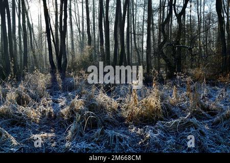 Estetal im Inverno Foto Stock