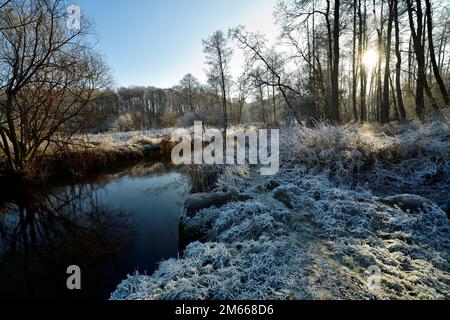 Estetal im Inverno Foto Stock