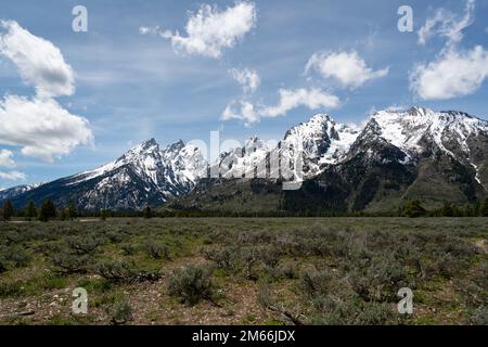 Una vista panoramica delle vette innevate e del paesaggio della catena montuosa del Teton nel Wyoming Foto Stock