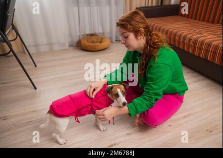 Donna caucasica vestire jack russell terrier cane in giubbotto rosa. Foto Stock