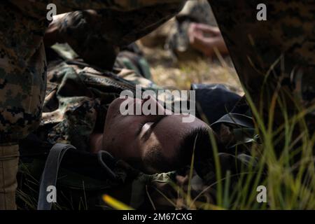 STATI UNITI Dominic Laborinbernal, un elettricista con Energy Company, Combat Logistics Regiment 3, 3rd Marine Logistics Group, si pone come un incidente nozionale indossando Mission Oriented Protective Posture Gear dopo un chimico, biologico, radiologico, O attacco nucleare durante un corpo marino Valutazione della preparazione al combattimento Valutazione della Marines con 3rd Sostainment Group (sperimentale) in un punto di fornitura di munizioni di campo nella Central Training Area, Okinawa, Giappone, 11 aprile 2022. Un MCCRE è un metodo formale utilizzato dal generale comandante per valutare una unità sulla sua capacità di eseguire Foto Stock