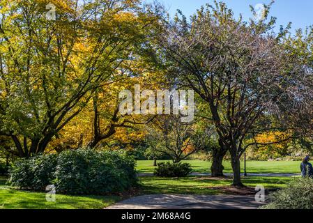 Brooklyn Botanic Garden, fondata nel 1910, Brooklyn, New York City, USA, Foto Stock