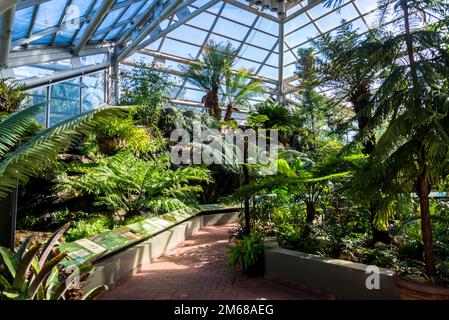 Brooklyn Botanic Garden, fondata nel 1910, Brooklyn, New York City, USA, Foto Stock