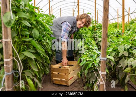 Coltivatore di verdure contented che raccoglie i raccolti agricoli in una casa Foto Stock