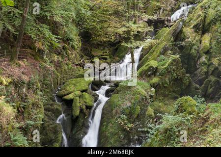 La cascata di Stock Ghyll Force è a pochi passi attraverso una valle boscosa dalla città di Ambleside nel Lake District Foto Stock